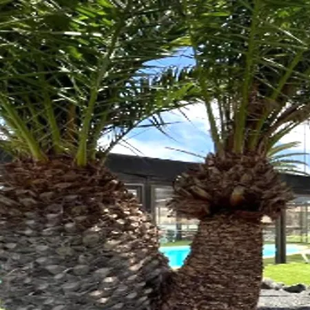 招待所 Bonito Con Piscina Wifi *